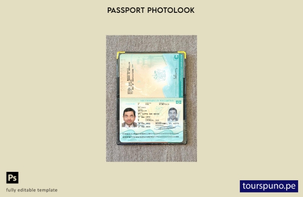 listo para imprimir plantilla de presentación fotográfica del pasaporte de San C